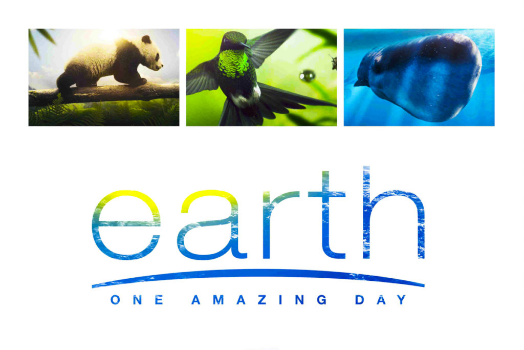 Фильм Earth: One Amazing Day 6+ Фильм Earth: One Amazing Day 6+