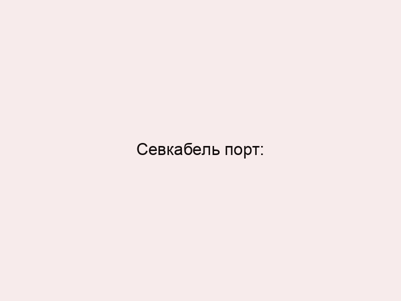 Севкабель порт: Творчество, технологии и бизнес — где искать баланс?
