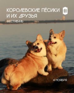 Культурный квартал БРУСНИЦЫН: Фестиваль «Королевские пёсики и их друзья» *